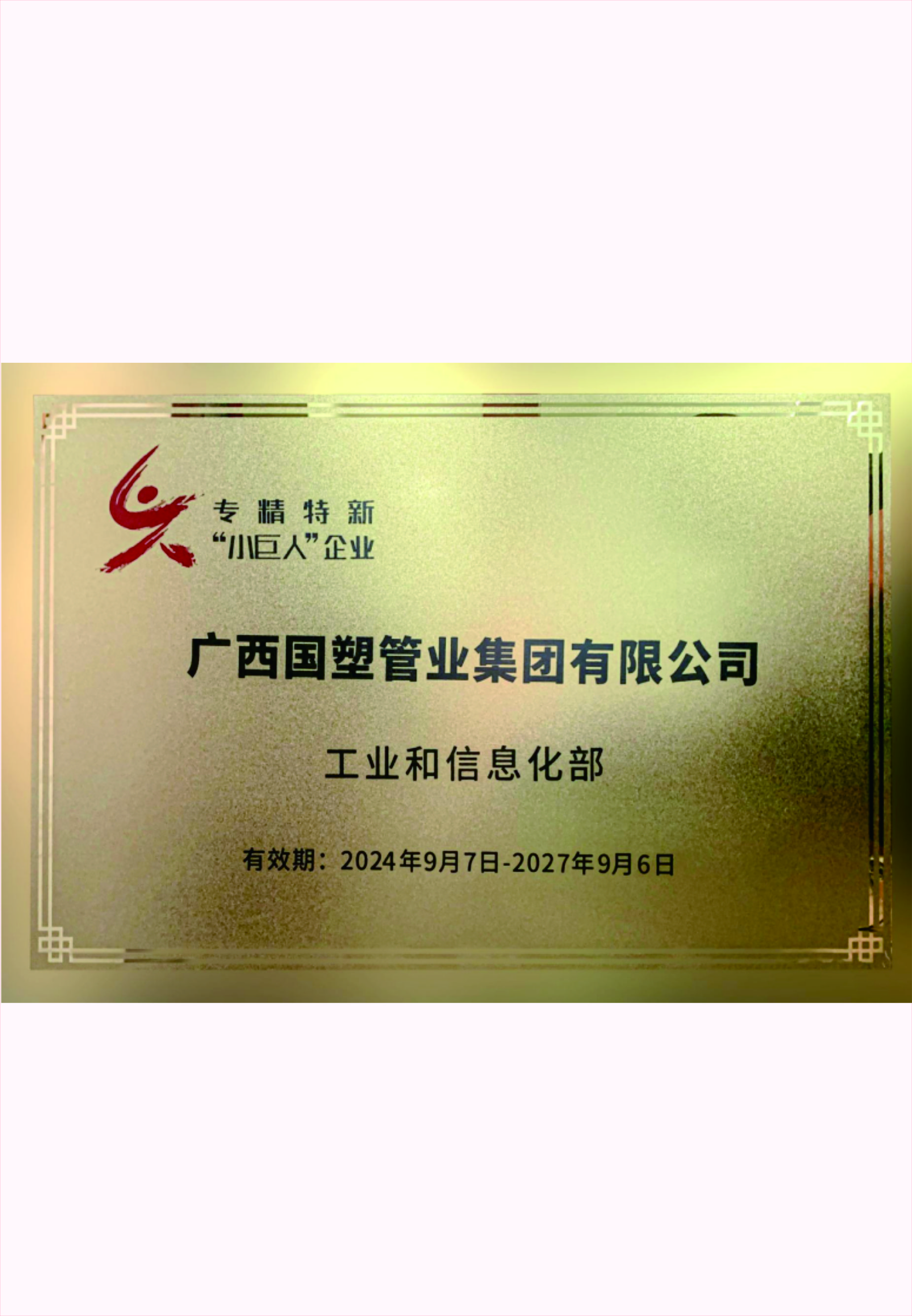 专精特新&ldquo;小巨人&rdquo;企业